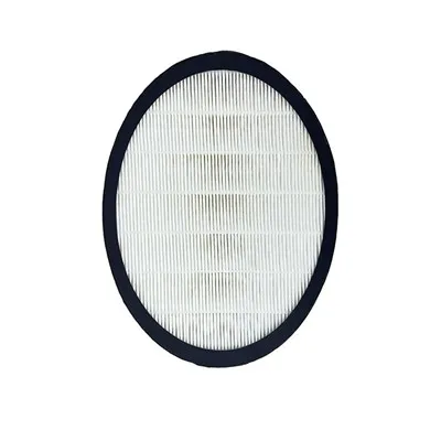 O filtro HEPA H13 consegue remover vírus?